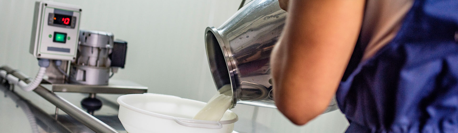 Holmen Cheese team member pouring liquid ingredient into funnel atop cheese production machine