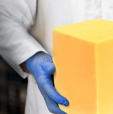 Working holding block of cheddar cheese